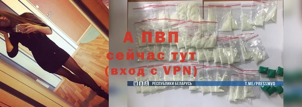 соль ск Алексин