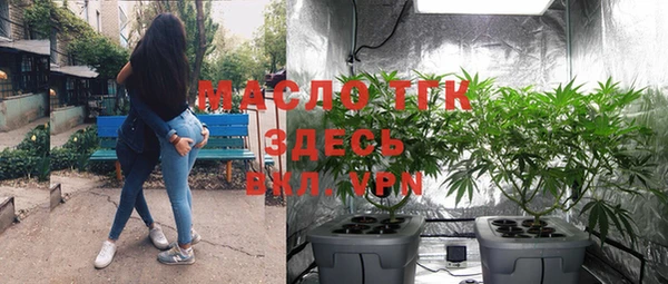 прущие грибы Абаза