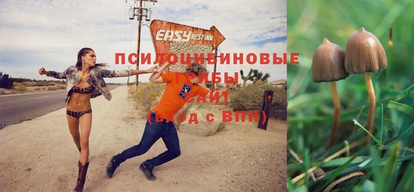 МДПВ Алзамай