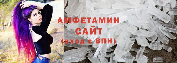 прущие грибы Абаза