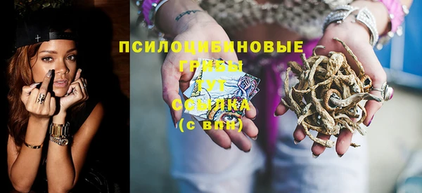 МДПВ Алзамай